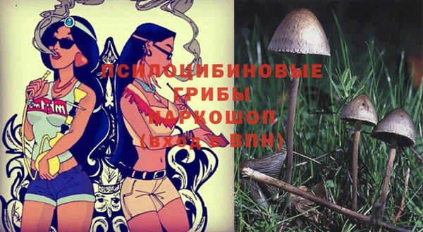 винт Тобольск