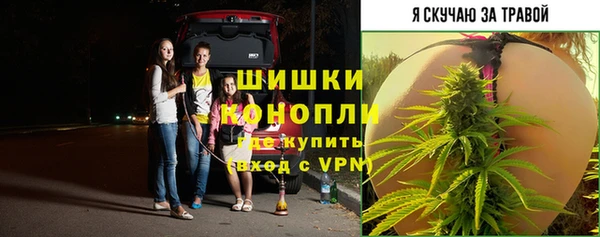 бутират Белокуриха