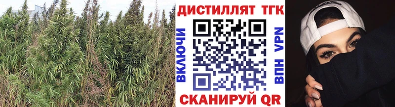 магазин  наркотиков  Вяземский  ТГК THC oil 