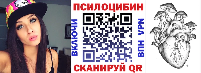 Псилоцибиновые грибы Psilocybine cubensis магазин продажи omg зеркало Вяземский
